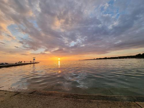 campery asone - WhatsApp Image 2021-11-04 at 13.11.28 (2)